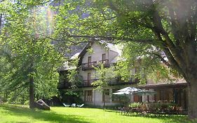 Chalet Hotel Ailefroide